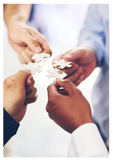 FortuneFox supply chain